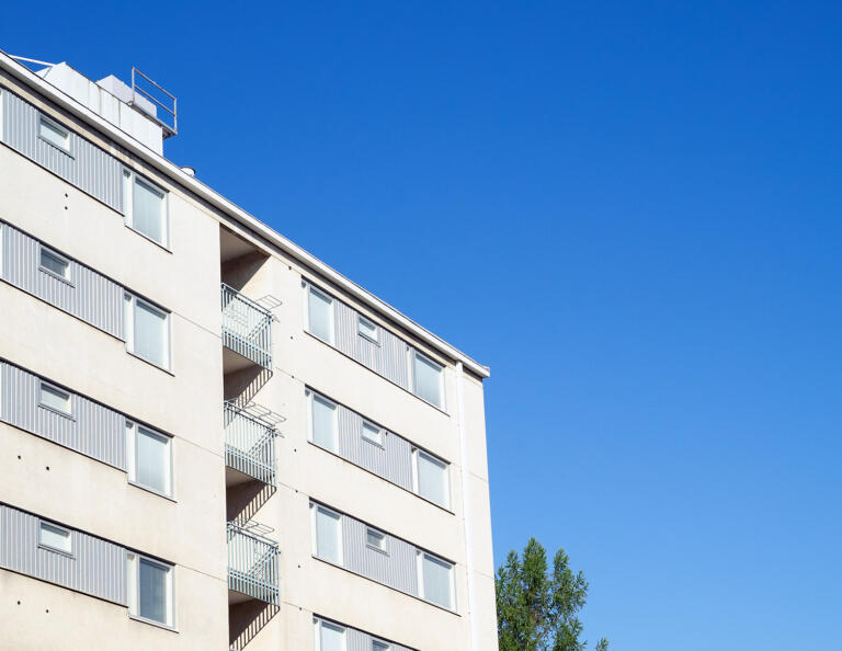 Tulevaisuuden tekijä | Alva