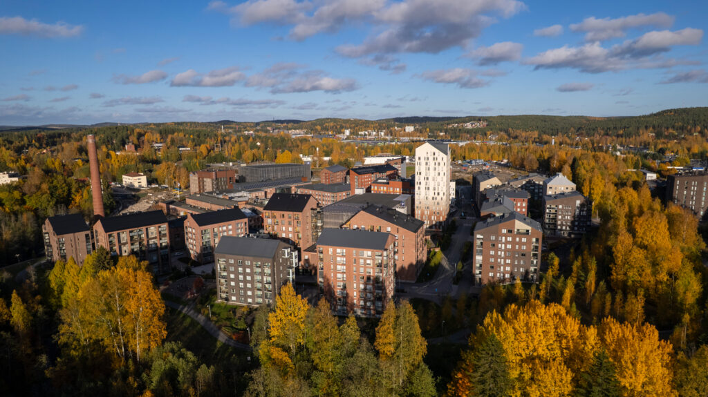 Dronekuva, Kangas